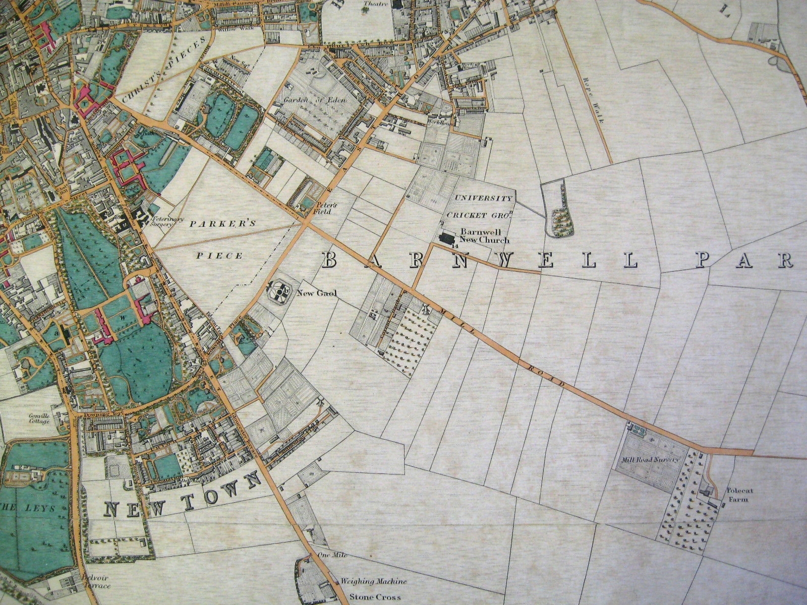 Mill Road Names Capturing Cambridge